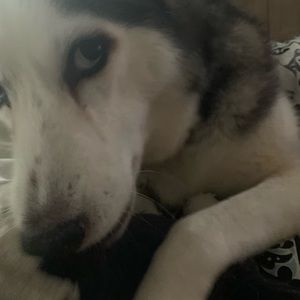 Meet your Posher, Cyndi